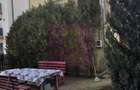 Vila de vanzare cu 8 camere ?i garaj in Busteni - 16