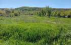 Teren 5,70 ha intravilan+extravilan, Vladimir-Andreesti , Jud.Gorj - 10