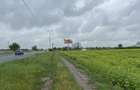 Teren DN1 10000 mp intravilan - 2