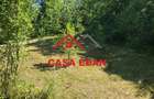 Casă în Poiana - 6