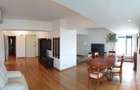 Vanzare apartament penthouse Gradina Icoanei - 1