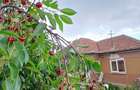 Casa din caramida in centru loc. Dangau Mare, la 40 min. de Cluj-Napoc - 8