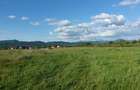 Teren intravilan de 5400 mp, în Merișor - 1