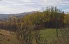 Teren 2500 mp Predeal Sarari, Vitioara de Sus - 1