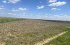 Teren agricol Slobozia Moara 8544 mp acces la drum asfaltat si la 1 km de DN7 - 2
