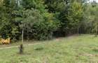 Casa cu teren 2 hectare intravilan - 6