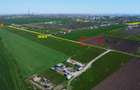 Teren intravilan 2500m2 localitatea Lazu SUPRAFATA 2480mp DESCHIDERE 38,43m SITUATLA 600m DE SOSEAUA CUMPENEI SI 500M DE CENTRUL SATULUI LAZU CADAST - 7