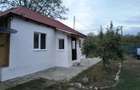 Casa de vanzare la tara - 2