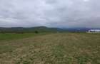 Teren Talmaciu 7,000 mp acces drum national - 3