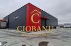 Hale industriale+Cladire de Birouri de inchiriat zona Aeroport - 1