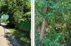 Teren intravilan Valea Mare Podgoria, ID: R3259992 - 6