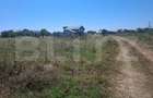 Teren de vanzare, 3000 mp, zona Dumbrava - 1