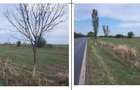 Teren extravilan Daia, Giurgiu - 3121101 - 1