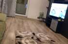 Apartament 1 cam Decomandat ; 42 mp Pacurari - Kaufland - 7