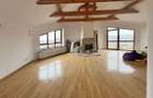 VILA in Craiter - Confort si functionalitate - 18