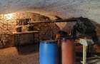 Casa solida saseasca + 2500mp teren, Bod - 6