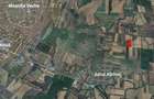 Teren extravilan de vânzare – Comuna Moșnița Nouă, sat Albina, jud. Timiș - 3