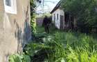 Vind casa cu gradina ! - 2