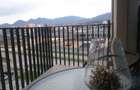 Ofer spre inchiriere apartament 2 camere in Coresi Avantgarden / 2- - 10