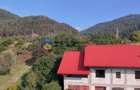 Casă individuală cu 5 camere cu Teren 1688 Mp în Pângărăcior - 2