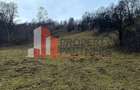Casa autentica cu teren de 11.150 mp Bran, ?imon | vedere Bucegi - 7