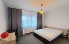 Apartament cu 2 camere decomandat în Lunei - 7