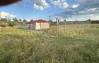 Teren BARBO?I 1000 m2 - 4