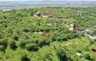 Teren de 2878 mp, în Podgoria - 2