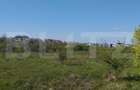 Teren Construcții intravilan de 1000 mp, în Bună Ziua - 2