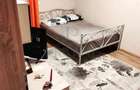 Apartament cu 3 camere semidecomandat în Buziașului - 1