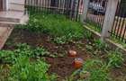 Casă cu 5 camere cu Teren 200 Mp în Berceni - 17