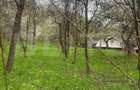 Teren Construcții intravilan de 784 mp, în Nistorești - 1