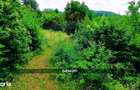 Teren intravilan 6115mp | Danesti, Maramures | Oportunitate investitie - 1