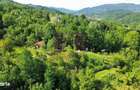 Teren 4.519 mp intravilan de vanzare in Breaza - 3