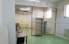 SPATIU COMERCIAL TIP GARAJ + CURTE LANGA PARCUL CIRCULUI - TRIFAZIC, PUT, INALT