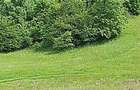 Teren agricol extravilan de 44500 mp, în Nadăș - 3