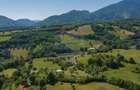 Teren intravilan de 11000 mp, în Bran - 8