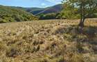 Vand teren extravilan 3,54 hectare - 1