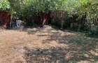 Casă cu 5 camere în Fratelia - 6 Casă cu 5 camere în Fratelia - 6