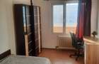 Apartament cu 3 camere decomandat în Lujerului - 9