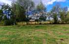 Teren agricol extravilan de 9300 mp, în Bran - 1