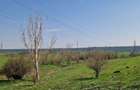Ferma de vanzare 8 ha Bals, judetul Olt - 11