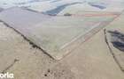 Teren 26.82 ha Ardud | Oportunitate pentru dezvoltare - 1