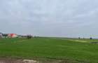 Teren Bolintin Deal 2000 mp New 2026 - 2
