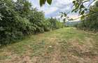 Teren intravilan de 3600 mp, în Drajna - 1