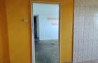 Apartament cu 2 camere semidecomandat în Pantelimon - 8