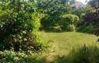 Casa individuala Gheorgheni | Gradina de 495 mp - 5