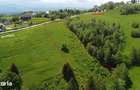 Teren intravilan 4.151 mp in Pe?tera (Moeciu), Proiect DTAC inclus - 4