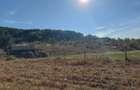 Teren 5,70 ha intravilan+extravilan, Vladimir-Andreesti , Jud.Gorj - 6