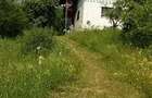 Vanzare sau Schimb! Central Drajna de Jos 5000 mp - 10